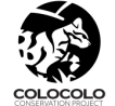 Colocolo Project