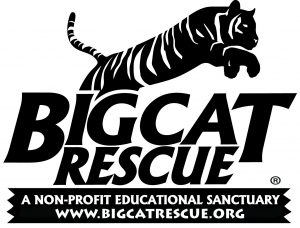 Copia de Big Cat Rescue (1)